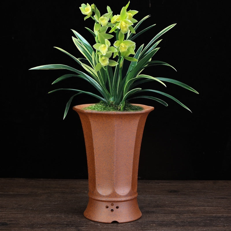 Firewood Purple Sand Orchid Pots Phalaenopsis Clivia