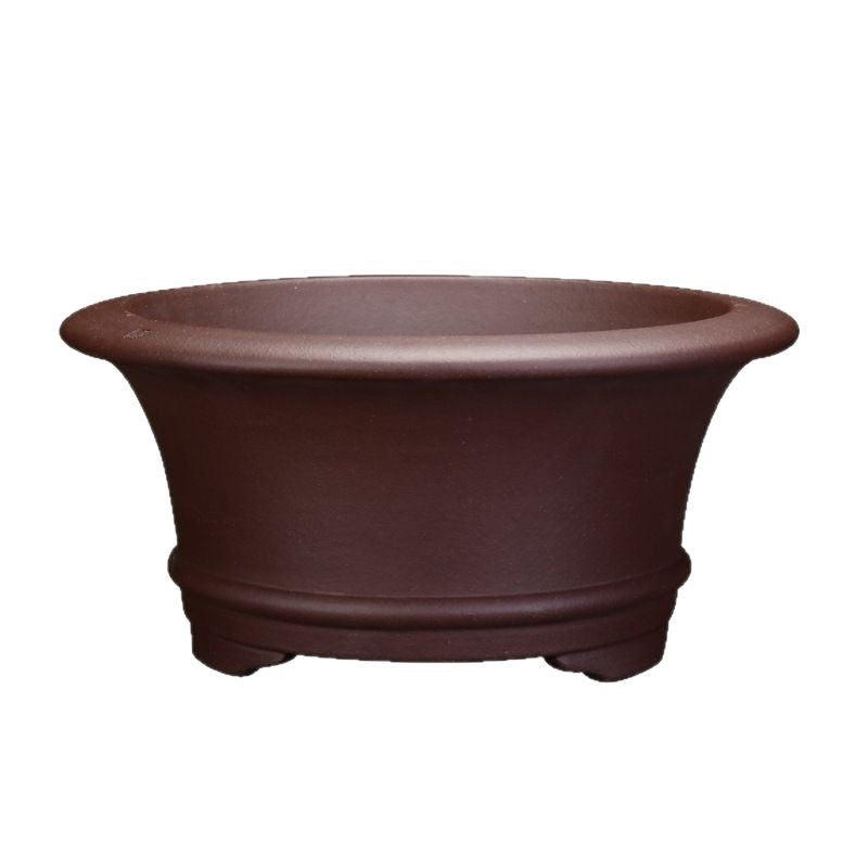 Purple Sand Orchid Pots Living Room Interior Gardening