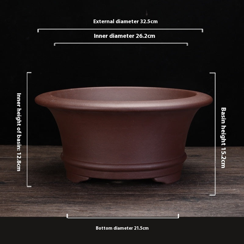 Purple Sand Orchid Pots Living Room Interior Gardening