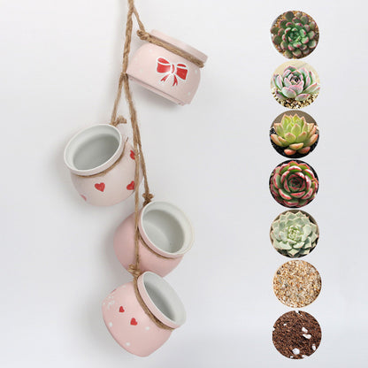 Hanging Wall Hanging Pots, Baskets, Hemp Rope, Succulents, Lazy Pots, Ceramics