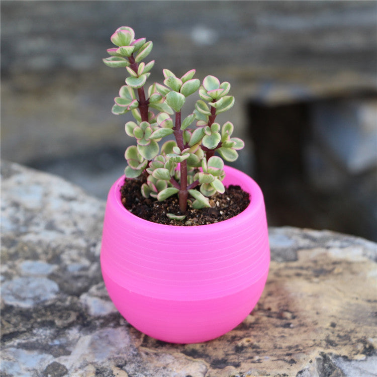 Mini Flower Pots Plastic  Flower Pots Color Full Resin Flower Pots