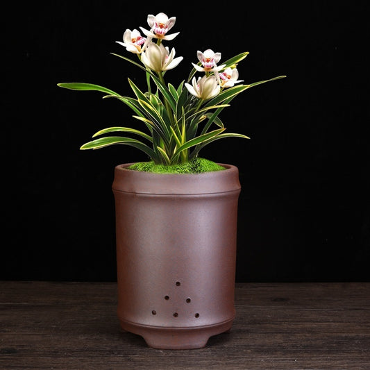 Firewood Purple Sand Orchid Pots Phalaenopsis Clivia