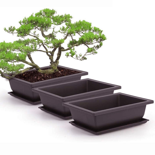 Antique Rectangular Plastic Flower Pots  With Trays