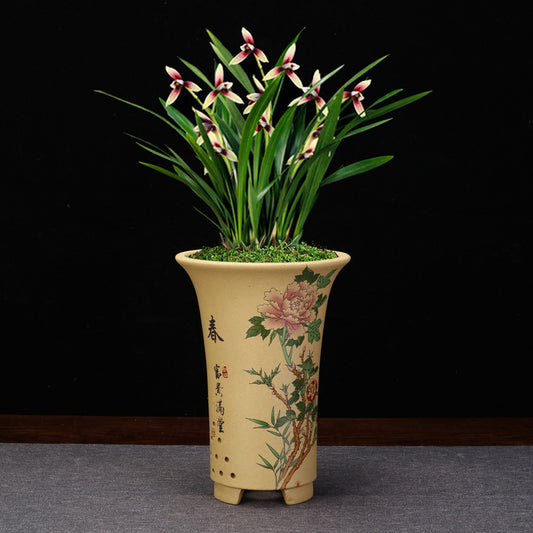 Purple Sand Decals Green Plant Orchid Pots