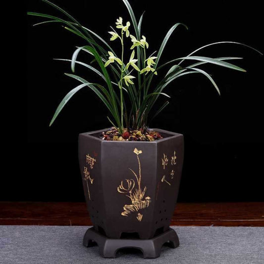 Purple Sand Ceramic Indoor Orchid Pots Bonsai Office Decoration Ornaments