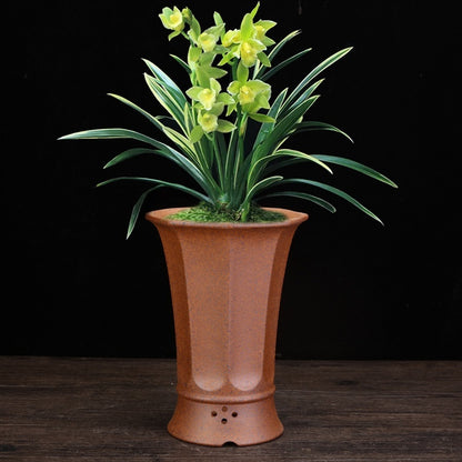 Firewood Purple Sand Orchid Pots Phalaenopsis Clivia