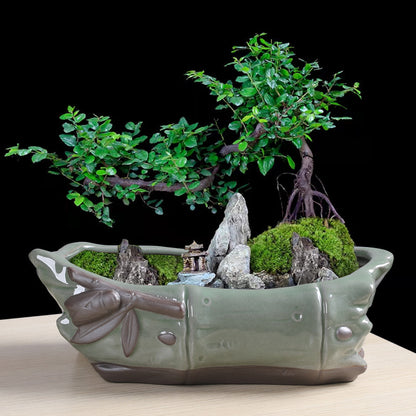 Creative Ceramic Retro Purple Sand For Succulent Flower Pots