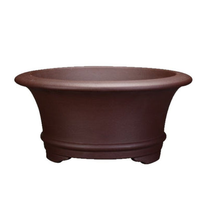 Purple Sand Orchid Pots Living Room Interior Gardening