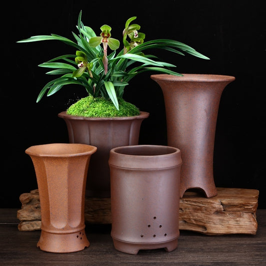 Firewood Purple Sand Orchid Pots Phalaenopsis Clivia