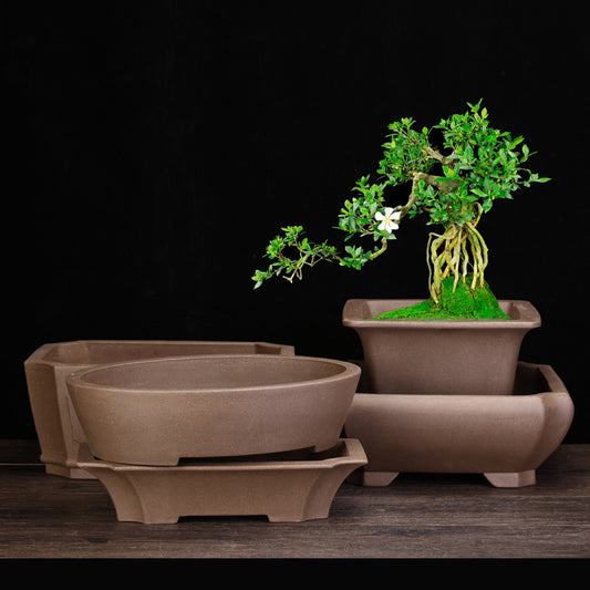 Purple Sand Orchid Pots Household Square Bonsai Succulent Creative Ceramic