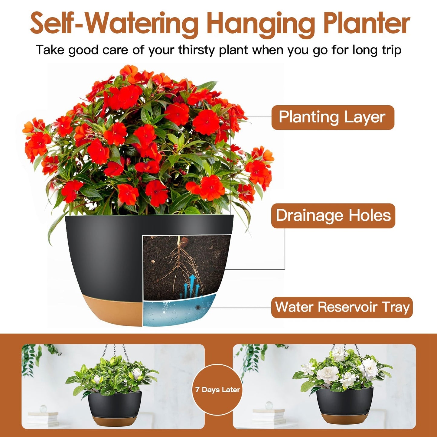 Diameter Hanging Planter With Drainage Holes
